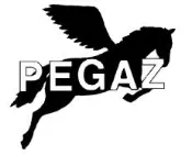 Pegaz Autoszkoła - logo